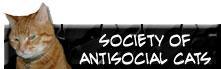 Society of Antisocial Cats